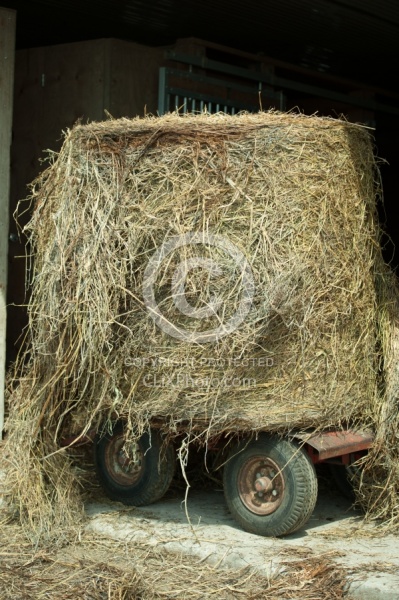 Transporting Round Bale 
