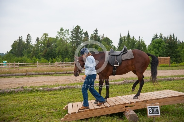 Horse Country Campground Introducing Horse to Obstacle Course