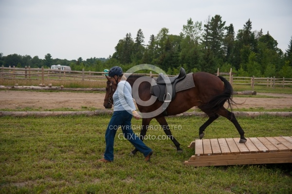 Horse Country Campground Introducing Horse to Obstacle Course
