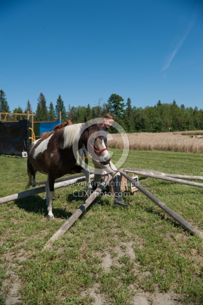 Horse Country Campground Introducing Horse to Obstacle Course