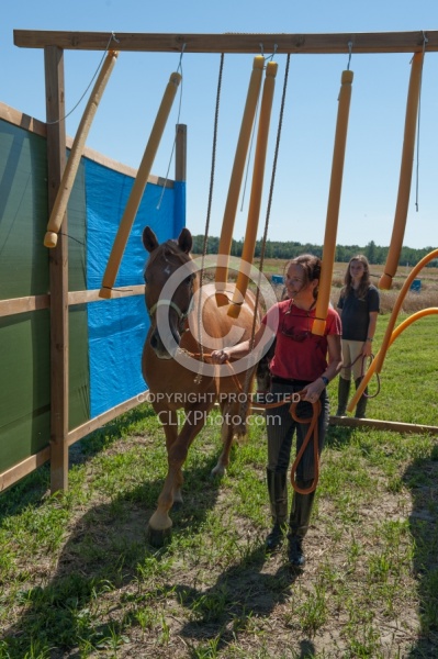 Horse Country Campground Introducing Horse to Obstacle Course