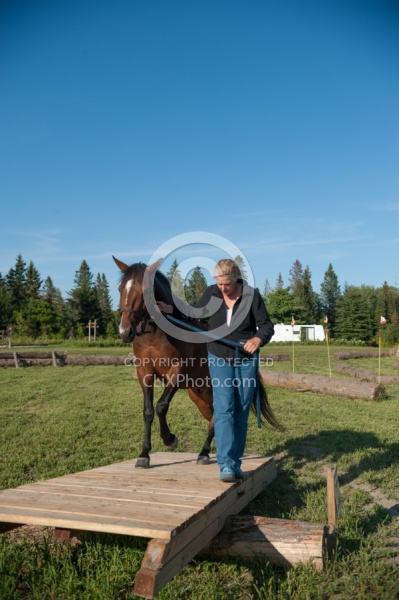 Horse Country Campground Introducing Horse to Obstacle Course