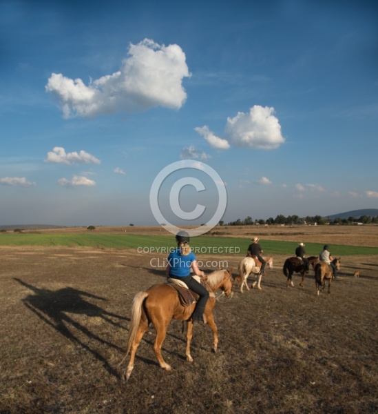 Trail Riding in Group