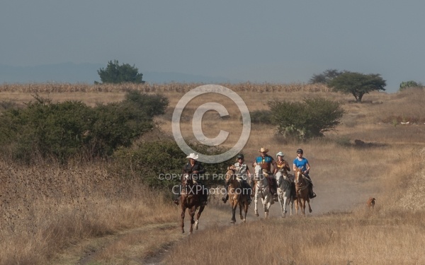 Trail Riding in Group