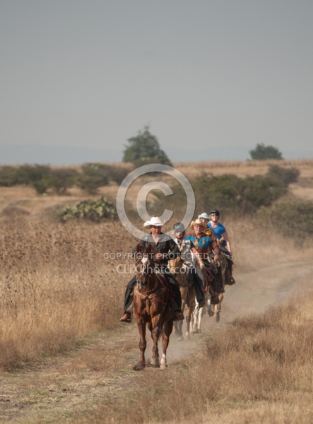 Trail Riding in Group
