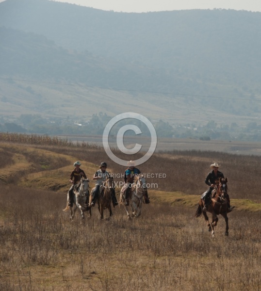 Trail Riding in Group