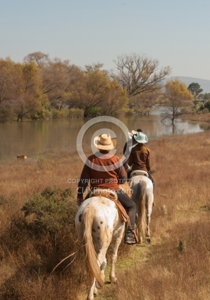 Trail Riding in Group