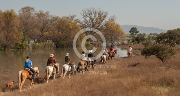 Trail Riding in Group