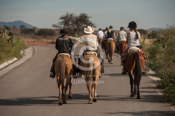 Trail Riding in Group