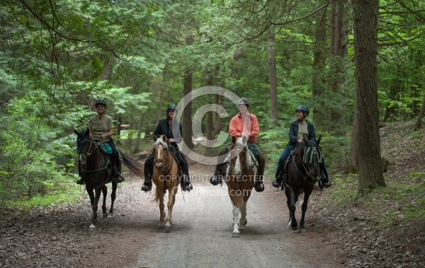 Trail Riding in Group