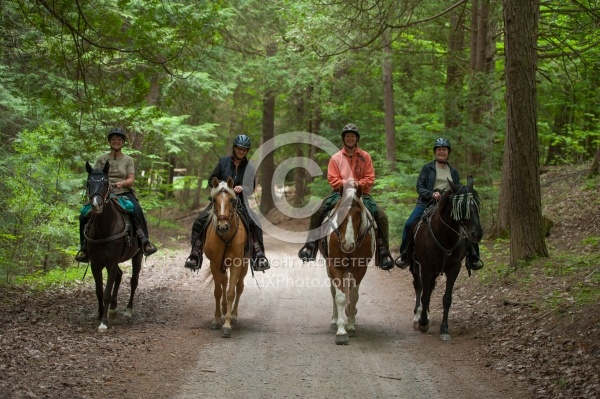 Trail Riding in Group