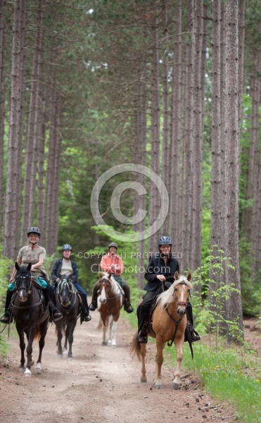 Trail Riding in Group