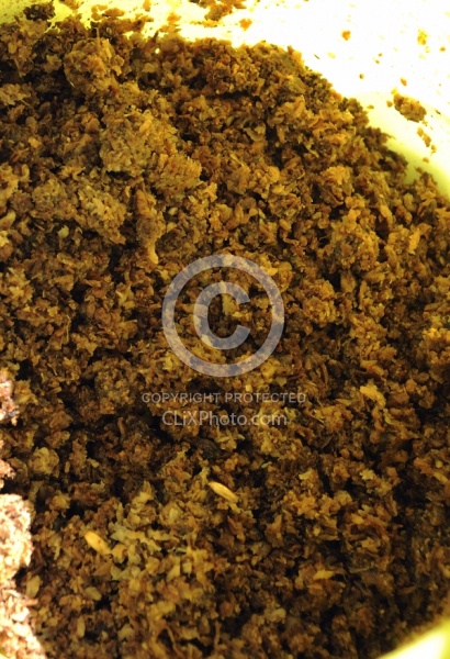 Older Horse Beat Pulp