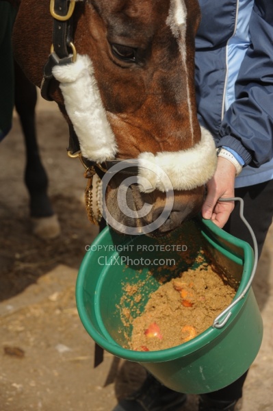 Making Bran Mash
