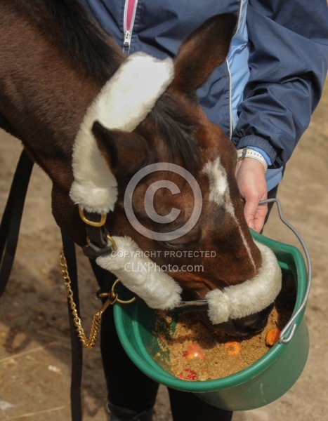 Making Bran Mash