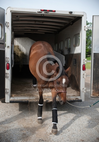 Unloading from Trailer, Step up Trailer