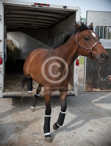 Unloading from Trailer, Step up Trailer