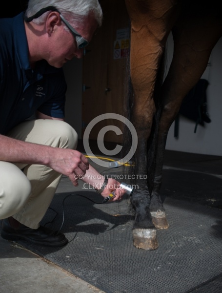 Laser Therapy to Ankle