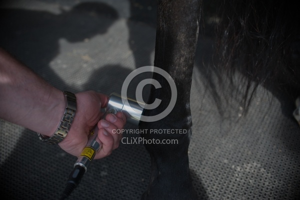 Laser Therapy to Ankle