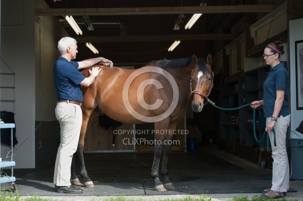 Laser Therapy to Back