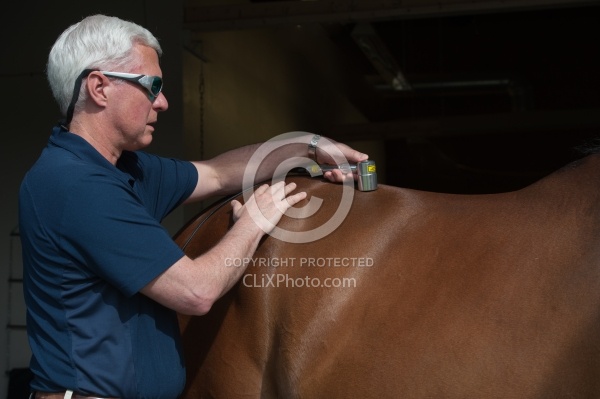 Laser Therapy to Back