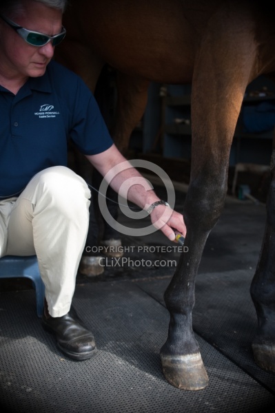 Laser Therapy to Tendon