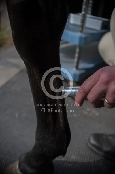 Laser Therapy to Tendon