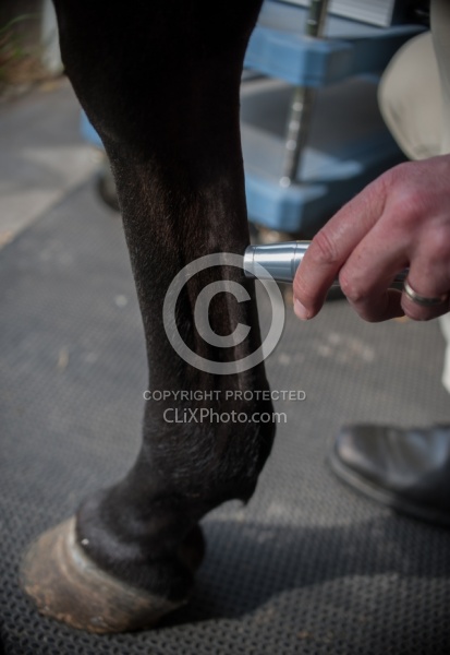 Laser Therapy to Tendon