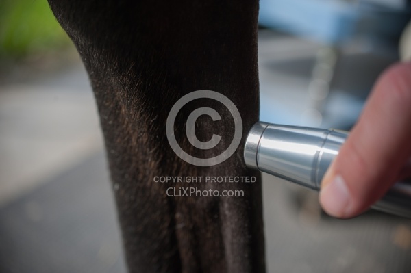 Laser Therapy to Tendon