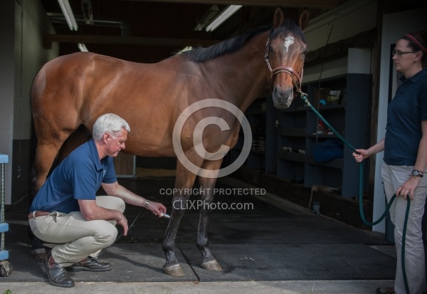 Laser Therapy to Tendon