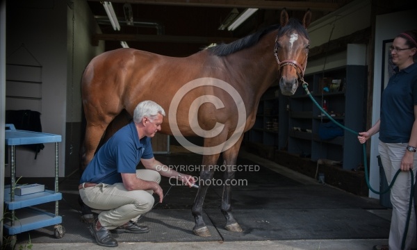Laser Therapy to Tendon