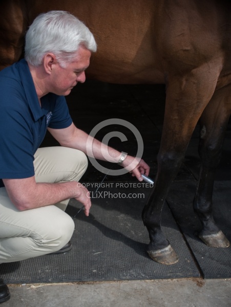 Laser Therapy to Tendon