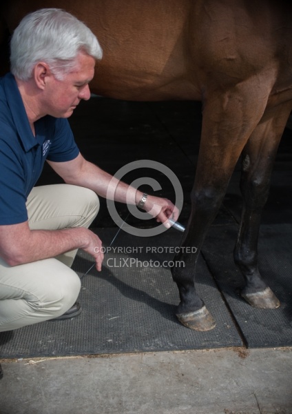 Laser Therapy to Tendon