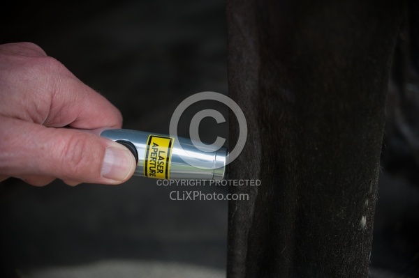 Laser Therapy to Tendon