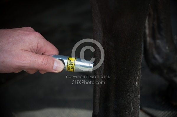 Laser Therapy to Tendon