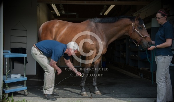 Laser Therapy to Tendon