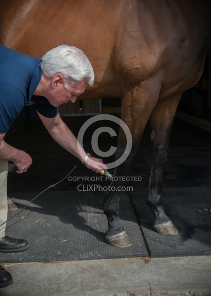 Laser Therapy to Tendon