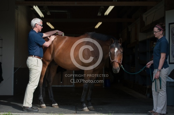 Laser Therapy to Back