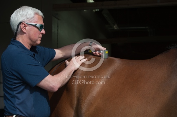 Laser Therapy to Back