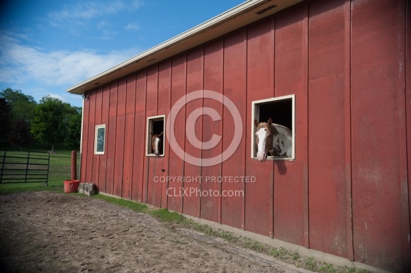 Small Barn Exterior