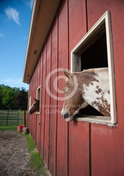 Small Barn Exterior