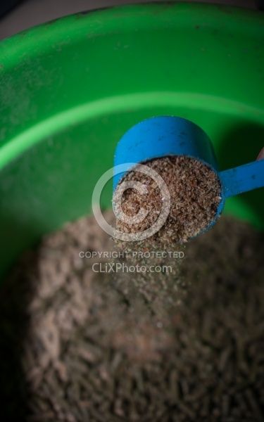 Adding Flax Seed to Grain