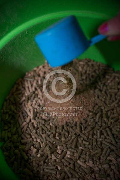 Adding Flax Seed to Grain