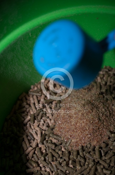 Flax Seed Supplement