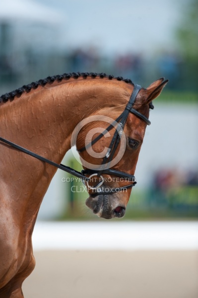 William Fox-Pitt and Neuf De Couers Selle Francais Rolex 2011