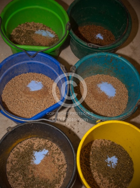 Feed and Supplements