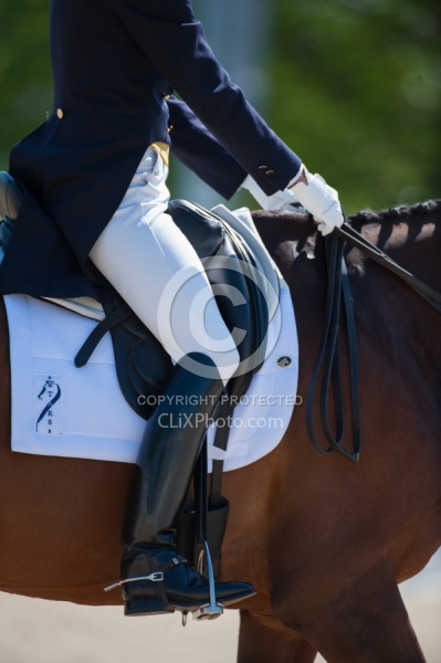 Dressage