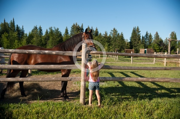 Horse Country Campground Permanent Paddocks