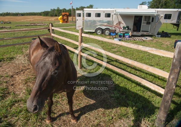 Horse Country Campground Permanent Paddocks