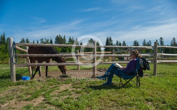 Horse Country Campground Permanent Paddocks